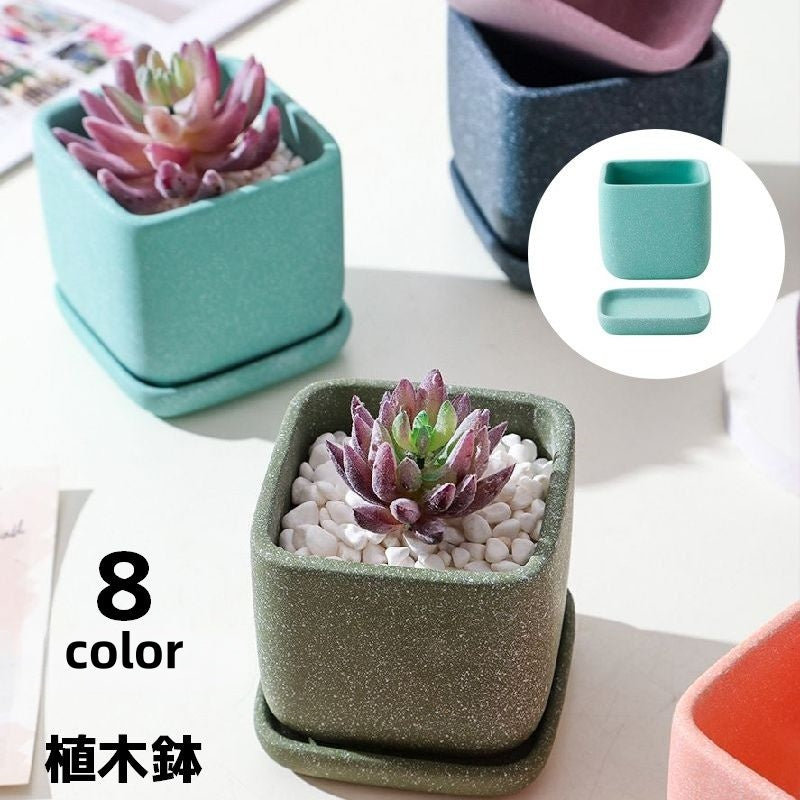 植木鉢 フラワーポット 陶器 スクエア 四角 観葉植物 多肉植物 園芸 ガーデニング 屋内 屋外 シンプル