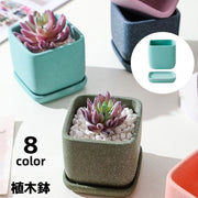 植木鉢 フラワーポット 陶器 スクエア 四角 観葉植物 多肉植物 園芸 ガーデニング 屋内 屋外 シンプル