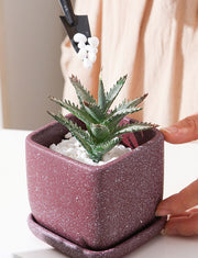 植木鉢 フラワーポット 陶器 スクエア 四角 観葉植物 多肉植物 園芸 ガーデニング 屋内 屋外 シンプル