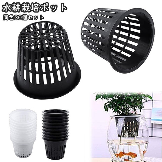 水耕栽培ポット 育苗ポット 20個セット 56mm 植木鉢 育苗 商品画像