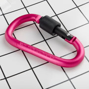 カラビナ 単品 D型 Dリング アウトドア 登山 クライミング用品 釣り 旅行 キャンプ ロープ キーリング キーホルダー キーチェーンクリップ