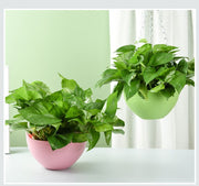 ハンギングバスケット ハンギングポット 吊り鉢 植木鉢 プランター ガーデニング用品 花 観葉植物 チェーン 排水ネット 屋内 屋外 おしゃれ かわいい 可愛い カラバリ豊富 白 黄 青