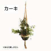 プラントハンガー プランターカバー ハンギング 吊り下げ 観葉植物用グッズ ロープ おしゃれ ナチュラル つるす インテリア雑貨 屋内 屋外