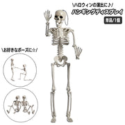 ハロウィン用品 室内装飾 ガイコツ 骸骨 単品 1個 スケルトン 骨格 がい骨 ドクロ 吊り下げ 吊り飾り ホラー リアル 怖い パーティーグッズ ポージング デコレーション ディスプレイ イベント 店内装飾 ハロウィーン