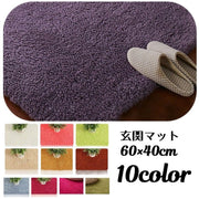 玄関マット 60×40cm フロアマット トイレマット バスマット 洗面所マット カーペット 浴室 玄関 リビング ベッドルーム バスルーム 脱衣所 子供部屋 シンプル 無地 ふかふか 滑り止め付き ふんわり おしゃれ かわいい シック エレガント 上品 インテリア用品 キズ防止 床保護