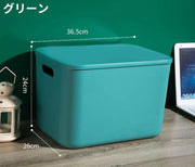 収納ボックス 収納ケース ノーマルL 大容量 蓋 ふた付き 積み重ね 衣装ケース おもちゃ箱 衣類 洋服 本 小物 クローゼット