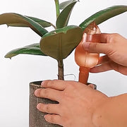 自動水やり器 自動給水器 単品 1個 ガーデニング用品 鉢植え 観葉植物 125ml 園芸 挿すだけ 鳥 とり バード 室内 屋内 おしゃれ かわいい お出かけ 留守 給水タンク 給水ボトル みずやり
