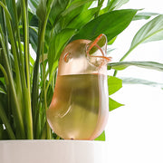 自動水やり器 自動給水器 単品 1個 ガーデニング用品 鉢植え 観葉植物 125ml 園芸 挿すだけ 鳥 とり バード 室内 屋内 おしゃれ かわいい お出かけ 留守 給水タンク 給水ボトル みずやり