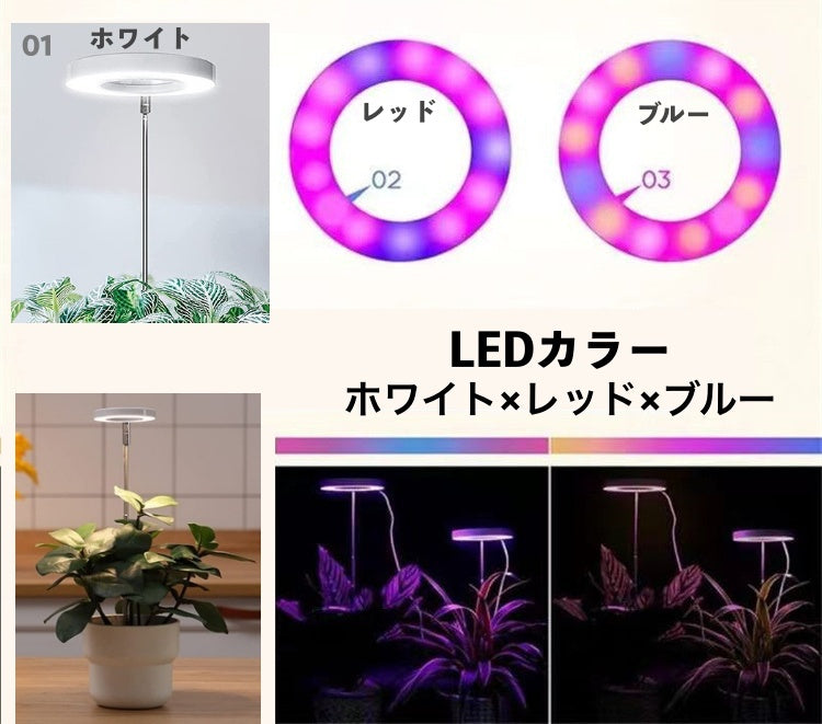 植物育成ライト プラントライト 高さ調節可能 角度調整可能 3色 LEDライト 商品画像5