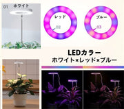 植物育成ライト プラントライト 高さ調節可能 角度調整可能 3色 LEDライト 42LED USB接続 タイマー機能 日照不足解消 水耕栽培 室内栽培 観葉植物 ガーデニング 家庭菜園 園芸