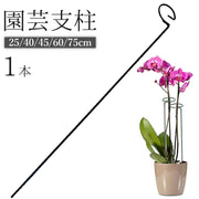 園芸支柱 植木鉢 観葉植物 花 フラワー 誘引 サポート 支え 固定 転倒 予防 防止 簡単 設置 25cm 40cm 45cm 60cm 75cm 金属製 ガーデニング用品