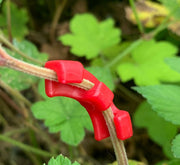 プラントベンダー クリップ 10個セット 園芸用品 ガーデニング資材 植物の茎を曲げる サポートクリップ トレーニングクリップ 成長操作 植物 低木 野菜 枝クリップ トレーナークリップ 成長コントロール 茎 枝 ワイヤー要らず 便利グッズ 赤 緑 白