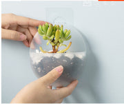 壁掛け植木鉢 壁掛けプランター インテリア 屋内用 ガーデニング 花瓶 シンプル コンパクト 小さい 傷つけない プラスチック 割れない おしゃれ 定番