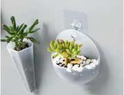壁掛け植木鉢 壁掛けプランター インテリア 屋内用 ガーデニング 花瓶 シンプル コンパクト 小さい 傷つけない プラスチック 割れない おしゃれ 定番