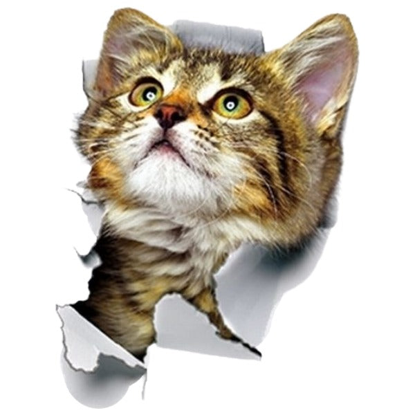 ウォールステッカー 壁ステッカー 壁紙シール 窓シール シール式 猫 キャット 子猫 3D トリックアート風 だまし絵風 インテリア雑貨 DIY 模様