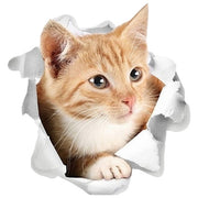 ウォールステッカー 壁ステッカー 壁紙シール 窓シール シール式 猫 キャット 子猫 3D トリックアート風 だまし絵風 インテリア雑貨 DIY 模様