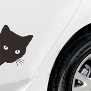 ウォールステッカー 壁ステッカー 壁紙シール シール式 ルームデコレーション ウォールデコレーション 猫 ネコ 黒猫 可愛い 棚 窓 貼り付け簡単 DIY 飾り付け 壁面装飾 壁装飾 室内装飾 イメージチェンジ 雑貨