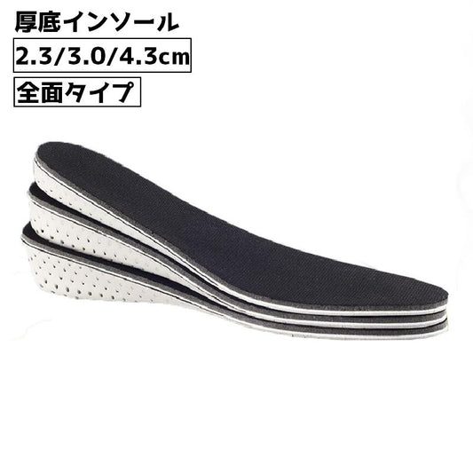 インソール シークレットインソール 中敷き レディース メンズ 女性 商品画像