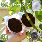 発根ボックス 10個セット 取り木ボール 植物 繁殖 株分け 育成 発根装置 家庭菜園 簡単取付け 透明 クリア ガーデニング 園芸用品 根成長 挿し木