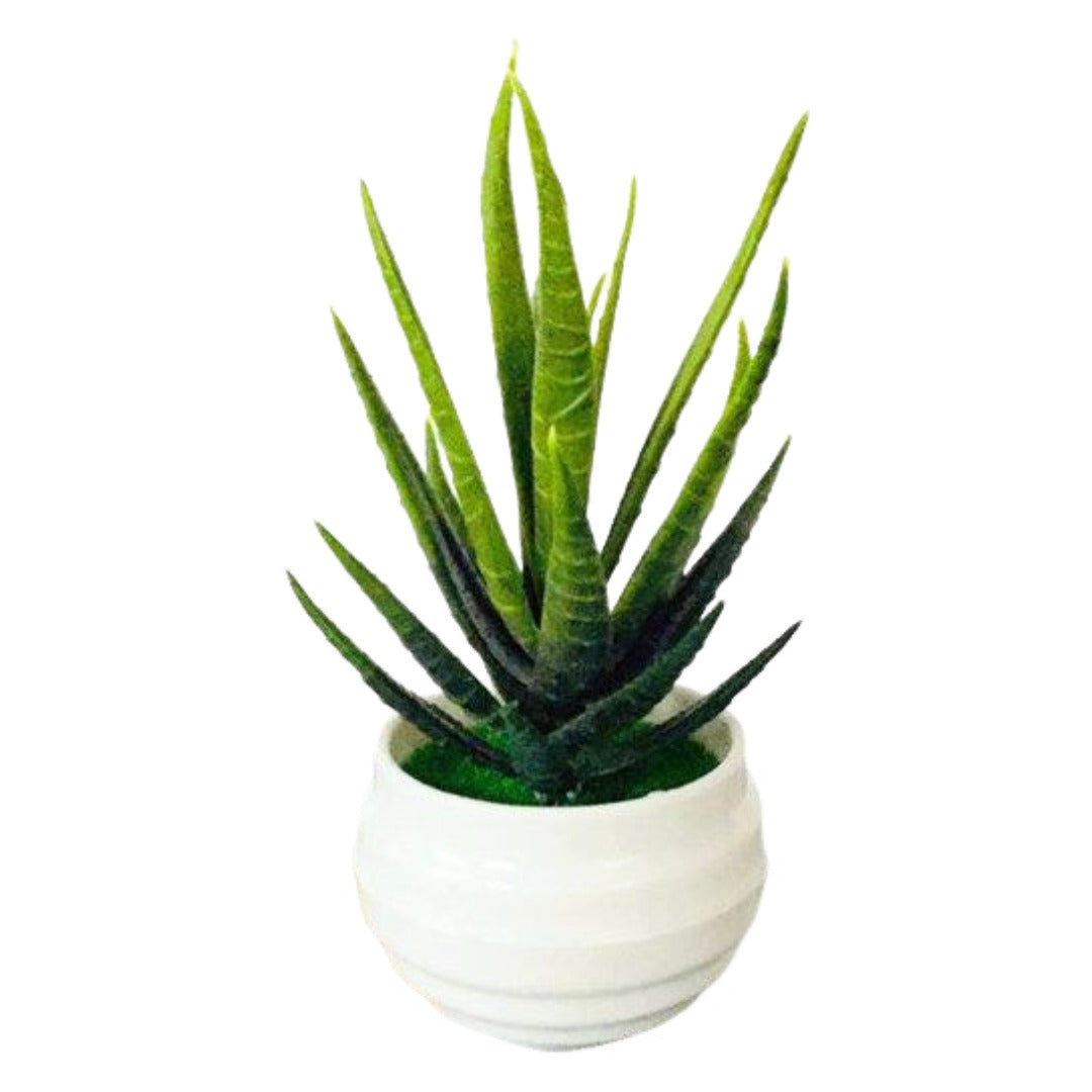 人工観葉植物 フェイクグリーン 造花 枯れない 植物装飾 ポット付き ラウンド1 バリエーション画像