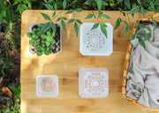 植木鉢 4個組 鉢植え プランター フラワーポット プラスチック 八角鉢 通気性 排水穴 軽量 半透明 ガーデニング 多肉植物