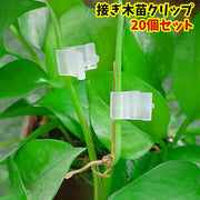 接ぎ木苗クリップ 20個セット 接ぎ木挟み ガーデニング 園芸用品 茎クリップ 接ぎあわせ 穂木 台木 家庭菜園 野菜 植物 クリア 半透明