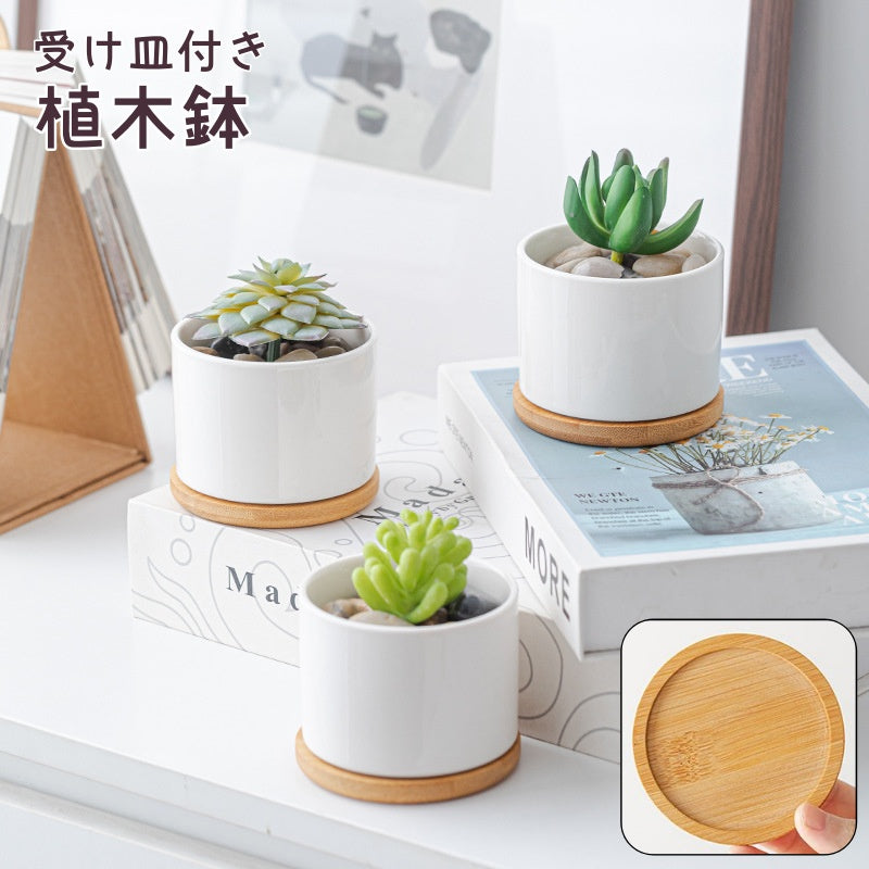 植木鉢 受け皿付き 多肉植木鉢 鉢 フラワーポット ポット セラミック ホワイト サボテン 観葉植物 多肉植物 鉢植え ミニ インテリア ガーデニング シンプル 室内