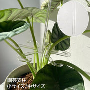 園芸支柱 花支柱 植木鉢用 観葉植物 サポート 花支え 花ささえ 固定 誘引 転倒防止 透明 クリア シンプル 簡単設置 ガーデニング用品