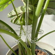 園芸支柱 花支柱 植木鉢用 観葉植物 サポート 花支え 花ささえ 固定 誘引 転倒防止 透明 クリア シンプル 簡単設置 ガーデニング用品