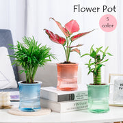植木鉢 フラワーポット 多肉植物ポット プランター 自動吸水 観葉植物 ミニ クリア 透明 かわいい おしゃれ 卓上 園芸 ガーデニング