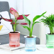 植木鉢 フラワーポット 多肉植物ポット プランター 自動吸水 観葉植物 ミニ クリア 透明 かわいい おしゃれ 卓上 園芸 ガーデニング