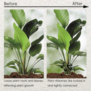 植物サポート 4サイズセット 茎ホルダー 固定クリップ 固定 支柱 つる植物 引っ掛け 旋回型 ラウンド 家庭菜園 ガーデニング 花 園芸用