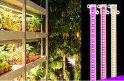 植物育成ライト プラントライト 植物ライト LEDライト 4ヘッド USB接続 5段階調光 タイマー機能 日照不足解消 水耕栽培 室内栽培 観葉植物 ガーデニング 家庭菜園 園芸