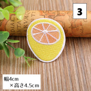 ワッペン アップリケ パッチ DIY ハンドメイド クラフト 布 手作り 手芸 刺繍 アイロン 入園準備 入学準備 アニマル 野菜 フルーツ 果物 くだもの キッズ 子ども 園児 幼児 小学生 バッグ 鞄 靴 シューズ かわいい キュート 簡単