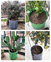 不織布プランター 植木鉢 花鉢 プランターカバー 10ガロン 13ガロン 17ガロン ポット 通気性 透水性 布製 根腐れ防止 水はけが良い 軽量 軽い 持ち運び 取っ手付き 収納ボックス 家庭菜園 ガーデニング ベランダ菜園 おしゃれ
