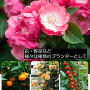 不織布プランター 植木鉢 花鉢 プランターカバー 10ガロン 13ガロン 17ガロン ポット 通気性 透水性 布製 根腐れ防止 水はけが良い 軽量 軽い 持ち運び 取っ手付き 収納ボックス 家庭菜園 ガーデニング ベランダ菜園 おしゃれ