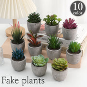フェイクグリーン 人工観葉植物 多肉植物 鉢植え ミニ 小型 卓上 机上 水やり不要 イミテーション インテリア 装飾用 おしゃれ