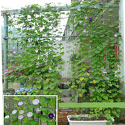 園芸ネット つる栽培ネット 幅0.9m×長さ1.8m 10cm角目 野菜誘引 つる性植物 キュウリ ゴーヤ 家庭菜園 緑のカーテン