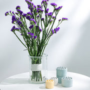 花茎ホルダー 花瓶用 花器 生け花 華道 手芸 フラワーアレンジメント 花束 ブーケホルダー ステムホルダー 簡単