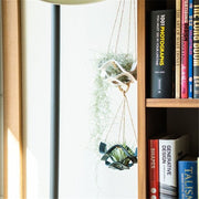 プラントハンガー ハンギングプランター 吊り下げ 植物ハンガー フェイクレザー 観葉植物 ガーデニング用品 インテリア雑貨 ナチュラル 縄 紐 ロープ 吊るす グリーンハンギング おしゃれ かわいい 飾りプランター 屋内 室内 イエロー 黄色 ブラウン 茶 グリーン 緑 レッド 赤 ホワイト 白