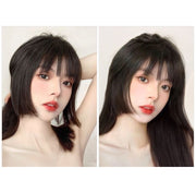 部分かつら 部分ウィッグ レディース 女性 かつら ウィッグ 姫カット 姫髪 ぱっつん 黒 茶色 付け毛 パッチン留め 普段使い コスプレ