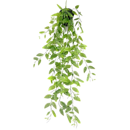 フェイクグリーン 人工観葉植物 造花 緑 つる 吊り下げ B バリエーション画像