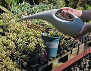 じょうろ ジョーロ 1.5L 2.5L 散水用品 水やり 水差し ガーデニング ガーデン 庭 観葉植物 室内 園芸 おしゃれ モダン スタイリッシュ グレー