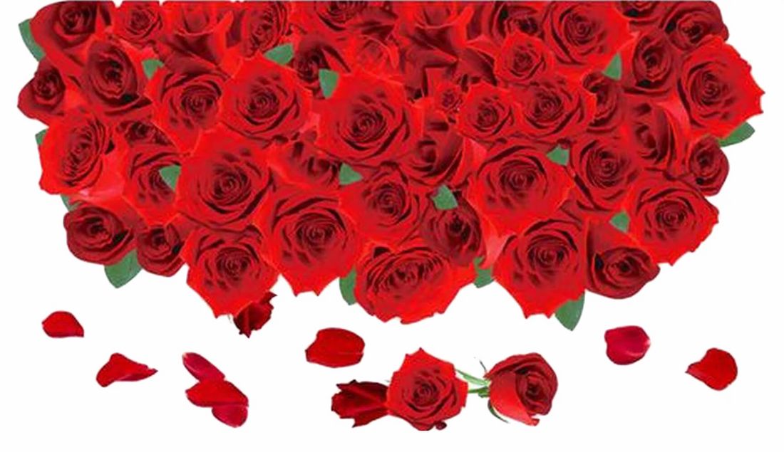 ウォールステッカー ウォールシール 薔薇 バラ ばら 花 フラワー リアル 3D シール式 貼ってはがせる ステッカーシール PVC 床ステッカー 壁ステッカー 壁シール 壁装飾 床装飾 装飾 飾り 簡単 インテリア 模様替え インテリア雑貨 シール ステッカー 壁 床 部屋 ガラス 窓 リビング キッチン 寝室 トイレ 扉 豪華 ゴージャス 華やか 鮮やか 可愛い かわいい おしゃれ オシャレ お洒落 雑貨 小物