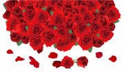 ウォールステッカー ウォールシール 薔薇 バラ ばら 花 フラワー リアル 3D シール式 貼ってはがせる ステッカーシール PVC 床ステッカー 壁ステッカー 壁シール 壁装飾 床装飾 装飾 飾り 簡単 インテリア 模様替え インテリア雑貨 シール ステッカー 壁 床 部屋 ガラス 窓 リビング キッチン 寝室 トイレ 扉 豪華 ゴージャス 華やか 鮮やか 可愛い かわいい おしゃれ オシャレ お洒落 雑貨 小物