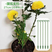 園芸支柱 20本組セット 27cm 支柱 観葉植物 花ささえ 花支え ガーデニング用品 園芸用資材 固定 農業用 家庭菜園 散乱予防 転倒予防 組み立て簡単 差込むだけ ナチュラル 単色 目立ちにくい シンプル 果物 野菜 花 多肉植物 広がり防止 鉢植え 緑