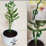 園芸支柱 20本組セット 27cm 支柱 観葉植物 花ささえ 花支え ガーデニング用品 園芸用資材 固定 農業用 家庭菜園 散乱予防 転倒予防 組み立て簡単 差込むだけ ナチュラル 単色 目立ちにくい シンプル 果物 野菜 花 多肉植物 広がり防止 鉢植え 緑