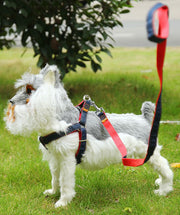 リード×ハーネス or リード×カラー 2点セット 3色 4サイズ 犬のリード お散歩グッズ ペット用品 ペットグッズ 犬用品 デニム リード ハーネス カラー
