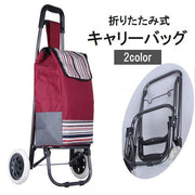キャリーカート キャリーバッグ 折りたたみ 静音 静か 取り外し可能 キャスター付き エコバッグ 買い物かご バスケット ショッピングカート アウトドア バーベキュー レジャー