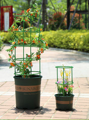 園芸用支柱 リング支柱 組み立て式 1段 植木鉢用 花 観葉植物 ガーデニング 円柱型 フラワー 支柱 花支え サポート フレーム 簡単取付 再利用 つる 野菜 植物 栽培 家庭菜園 植物サポート 高さ調節可能